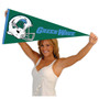 Tulane University Helmet Pennant