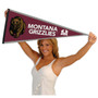 Montana Grizzlies Decorations