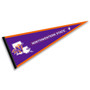 Northwestern State Demons Pennant