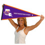 Northwestern State Demons Pennant