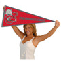 CSU Channel Islands Pennant