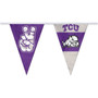 Texas Christian Horned Frogs Pennant String Flags