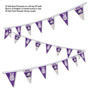 Texas Christian Horned Frogs Pennant String Flags