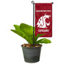 Washington State Cougars Flower Pot Topper Flag