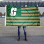 UNC Charlotte 49ers All-In C Stripes Flag