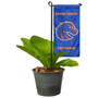 Boise State Broncos Flower Pot Topper Flag