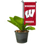 Wisconsin Badgers Flower Pot Topper Flag