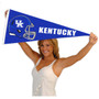 Kentucky Wildcats Helmet Pennant