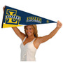 La Salle University Pennant