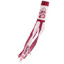 Montana Grizzlies Windsock