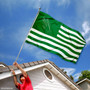 North Texas Mean Green Stripes Flag