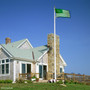 North Texas Mean Green Stripes Flag