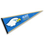 Hilbert College Hawks Pennant