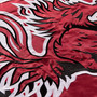 South Carolina Gamecocks Nylon Embroidered Flag