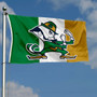 Fighting Irish Ireland Logo Flag