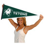 Williston State Tetons Pennant