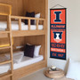 University of Illinois Decor and Banner