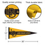 California State University Long Beach Banner Pennant with Tack Wall Pads