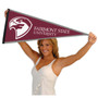 Fairmont State University Fighting Falcons Pennant