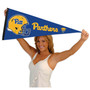 University of Pittsburgh Helmet Pennant