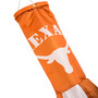 Texas Longhorns Windsock