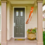 Texas Longhorns Windsock