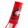 Northern Illinois Huskies Windsock