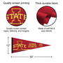 Iowa State University Banner Pennant with Tack Wall Pads