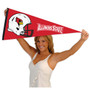 Illinois State Redbirds Helmet Pennant