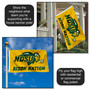 Bison Nation Gold 3x5 Flag