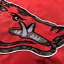 Arkansas Razorbacks Nylon Embroidered Flag