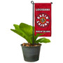 Louisiana Lafayette Ragin Cajuns Flower Pot Topper Flag