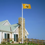 UMBC Retrievers Gold Flag