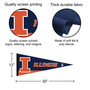 University of Illinois Banner Pennant with Tack Wall Pads