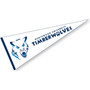 Northwood University Timberwolves Pennant