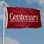 Centenary Flag