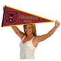 Ursinus College Bears Pennant