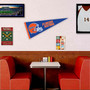 University of Florida Helmet Pennant