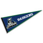 Johnson State Badgers Pennant