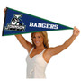 Johnson State Badgers Pennant