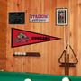 Caldwell University Pennant