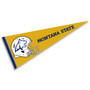 Montana State Bobcats Helmet Pennant