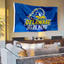 Delaware Blue Hens Grommet Flag