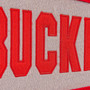 Ohio State Buckeyes Genuine Wool Pennant