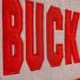 Ohio State Buckeyes Genuine Wool Pennant