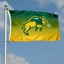 North Dakota State Bison Gradient Ombre Flag