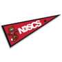 NDSCS Wildcats Pennant