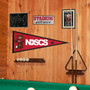 NDSCS Wildcats Pennant