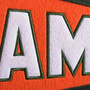 Miami Hurricanes Genuine Wool Pennant