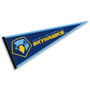 Point University Skyhawks Pennant